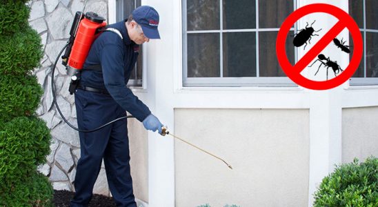 Akyurt Gümüşkurt İlaçlama böcek ilaçlama ve haşere kontrolü — ilaclama-tr.com